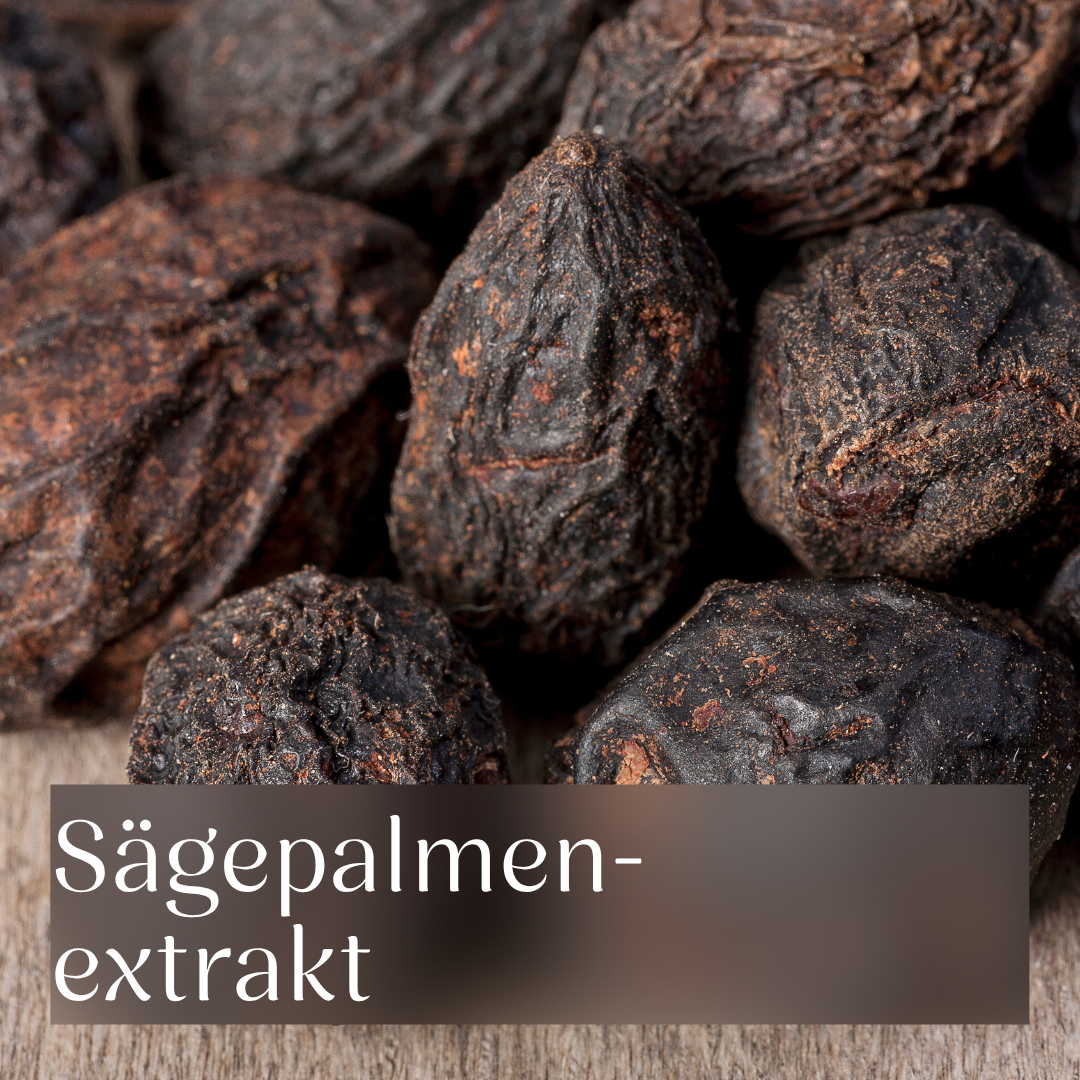 Sägepalmenextrakt