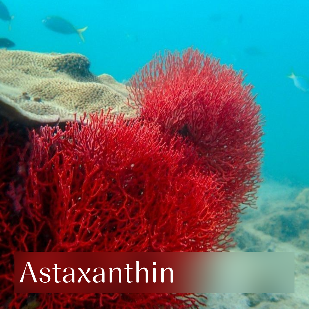 Astaxanthin